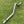 Load image into Gallery viewer, TOYOTA N80 (2015-ON) EXHAUST/OFF ROAD DPF DELETE PIPE