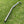Load image into Gallery viewer, TOYOTA N80 (2015-ON) EXHAUST/OFF ROAD DPF DELETE PIPE