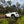 Load image into Gallery viewer, 2022+ Next Gen RANGER 4" Stainless Steel Snorkel Kit
